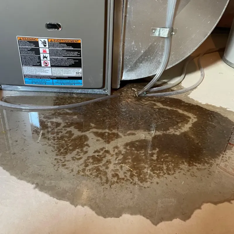 Appliance Leak Cleanup in Lone Grove, OK